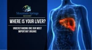 Where Is Your Liver 300x162 
