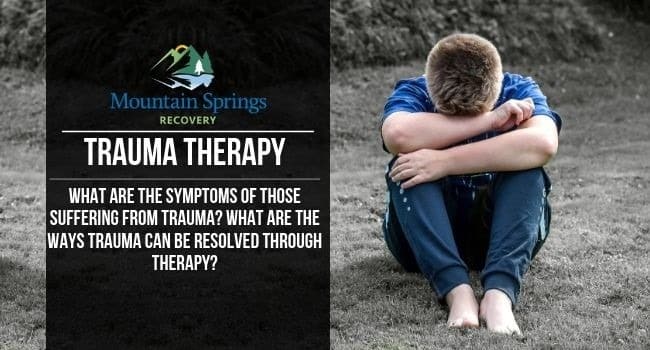trauma therapy trauma therapy