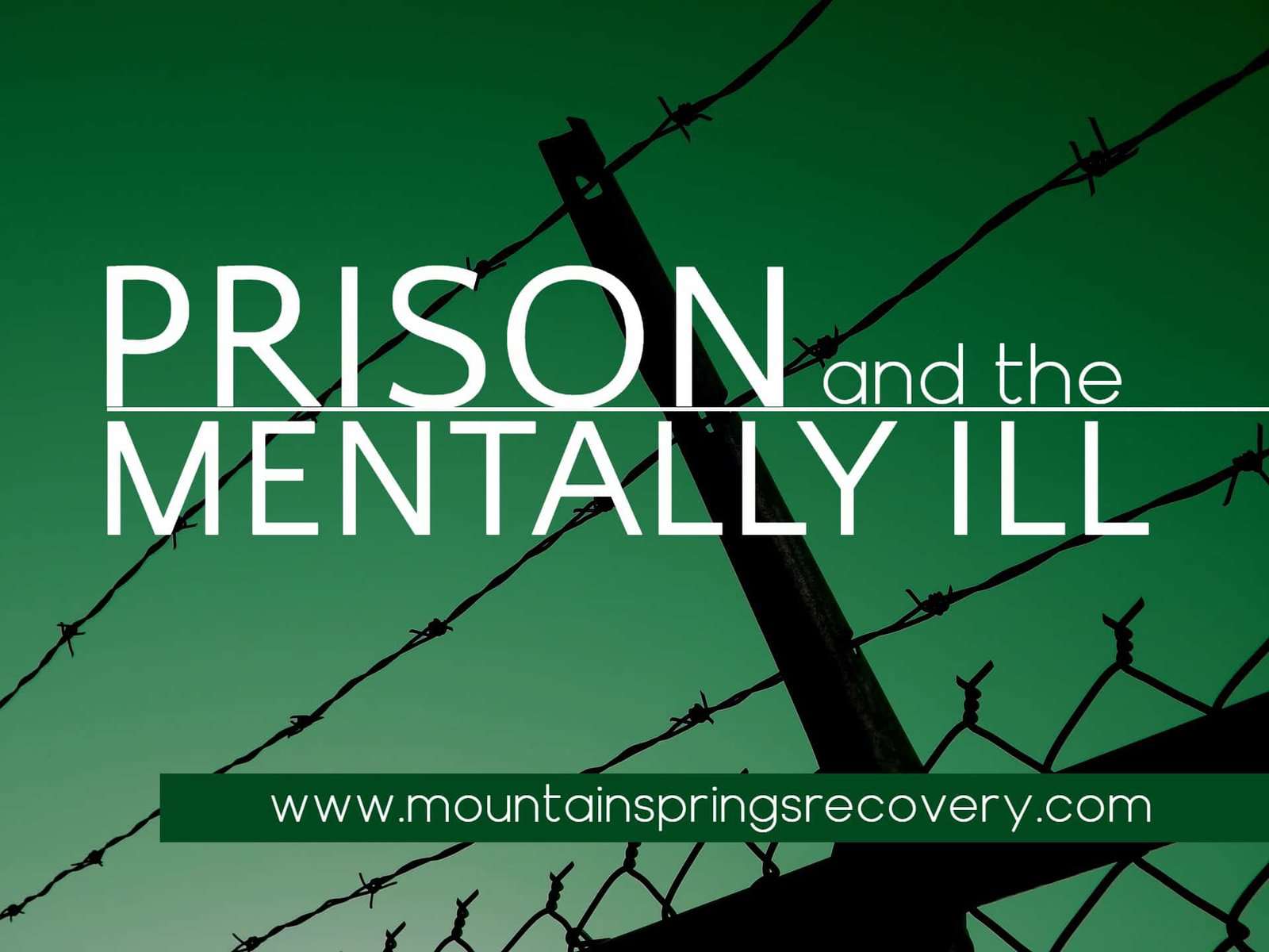 Prison and Mental Health